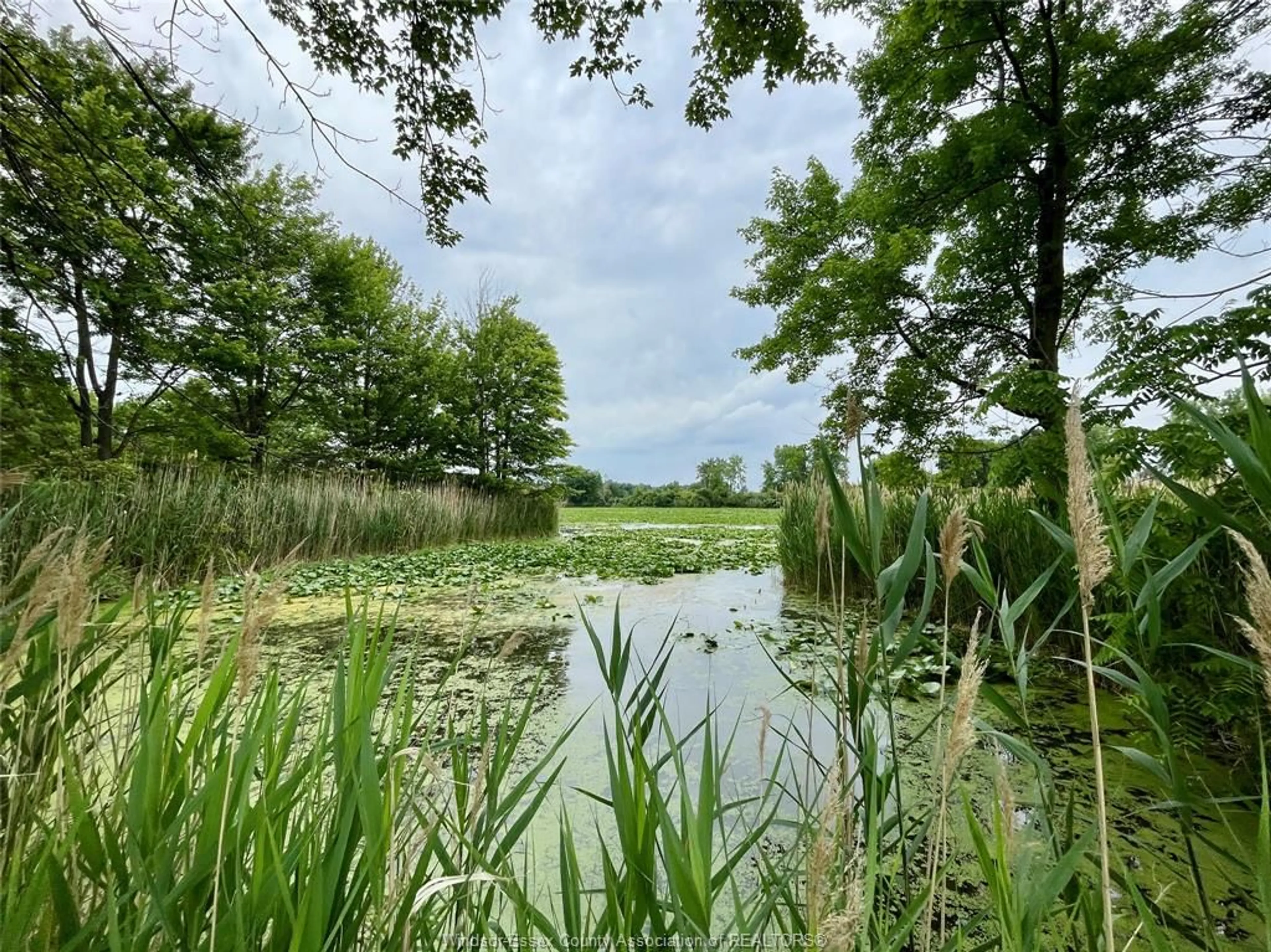 Unknown for 3371 COUNTY ROAD 20, Amherstburg Ontario N9V 2Y8