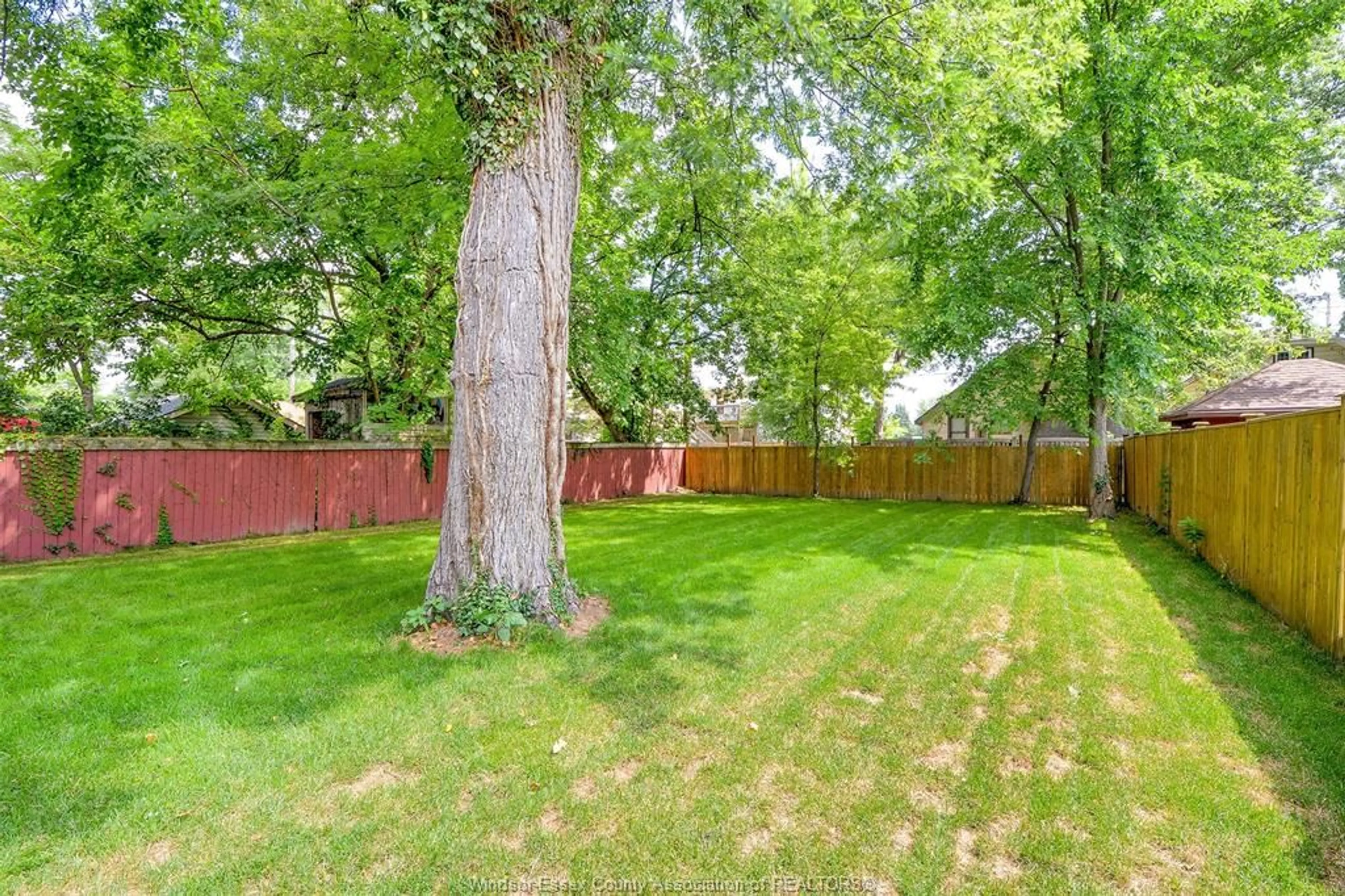 Patio, forest/trees view for 1484 VICTORIA Ave, Windsor Ontario N8X 1P3