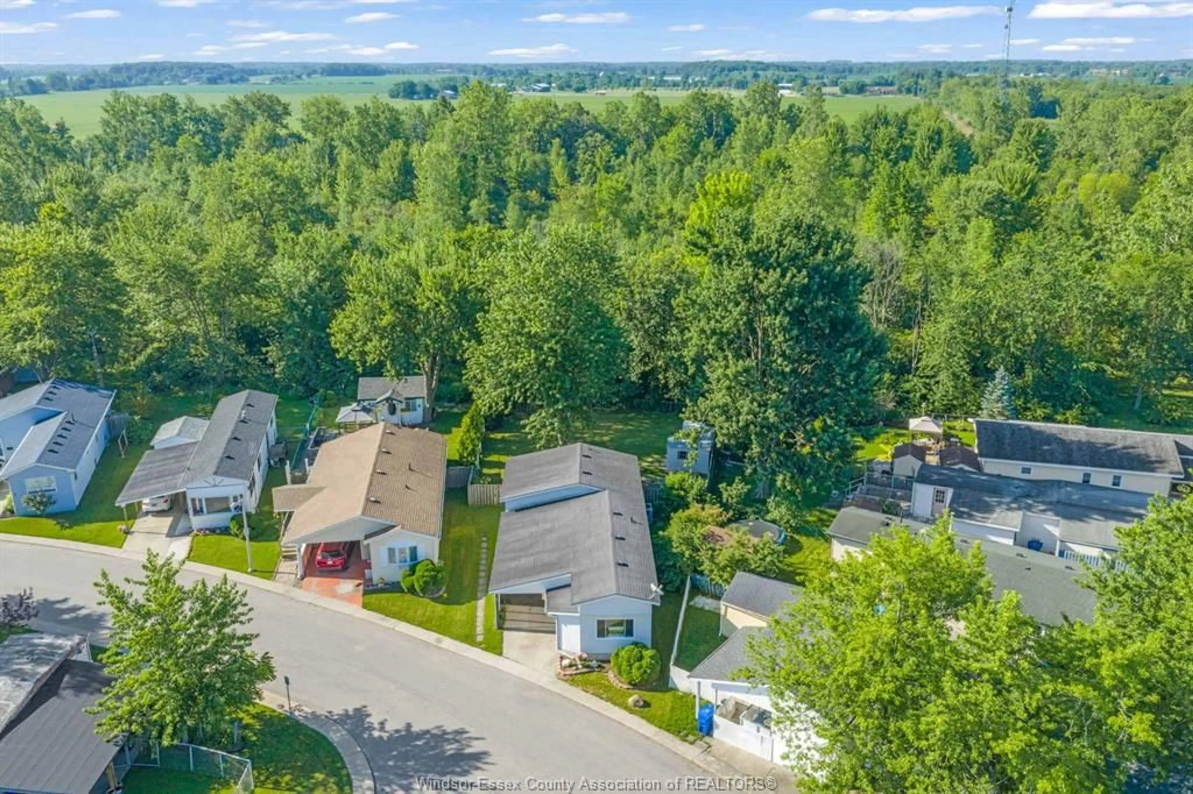 A pic from outside/outdoor area/front of a property/back of a property/a pic from drone, forest/trees view for 1 Spruce St, McGregor Ontario N0R 1J0