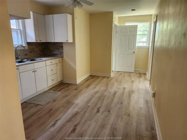 1163 JOSEPHINE, Windsor 3