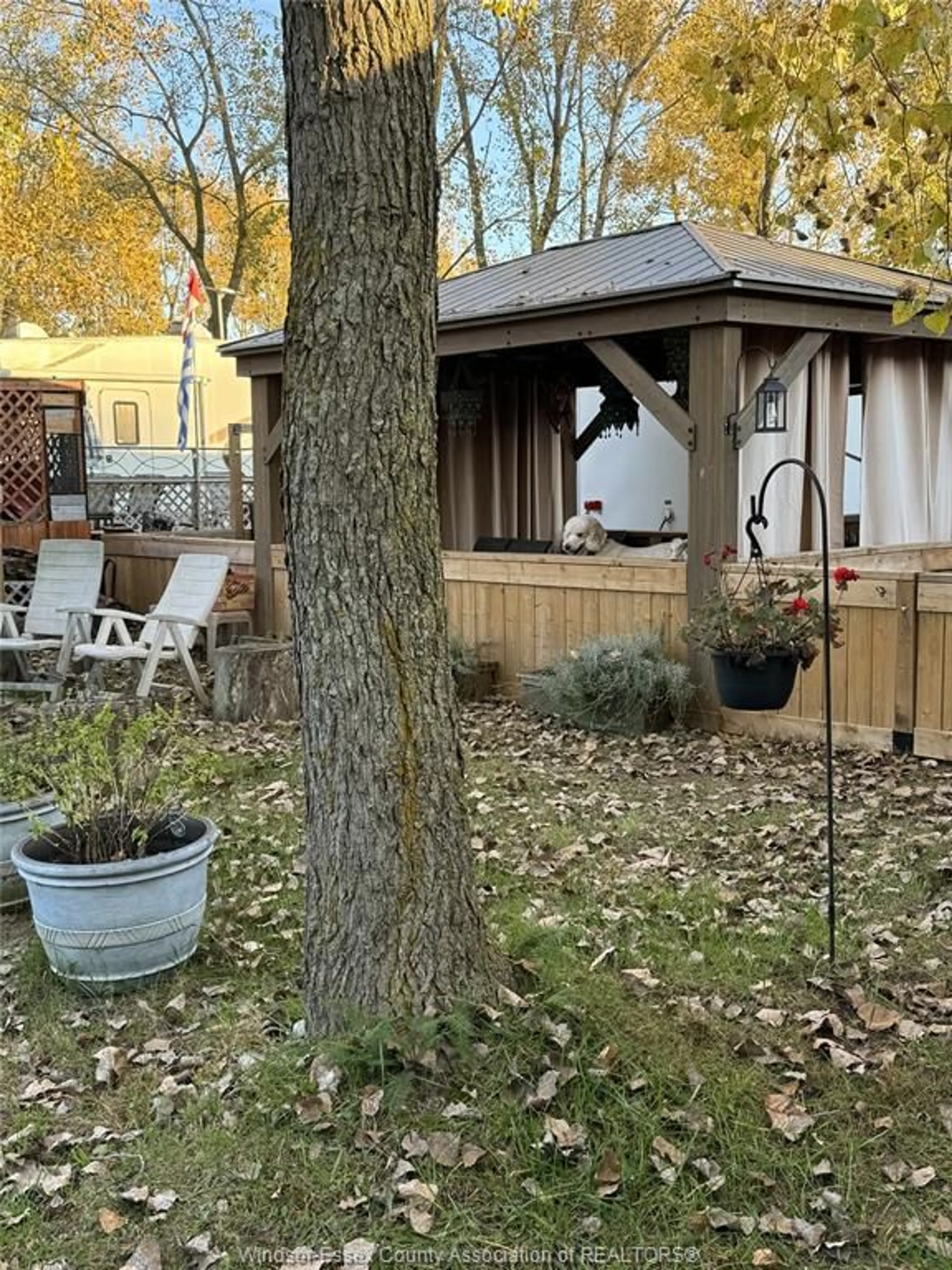 Patio, forest/trees view for 126 MERSEA 5 Rd #115, Leamington Ontario N8H 3V5