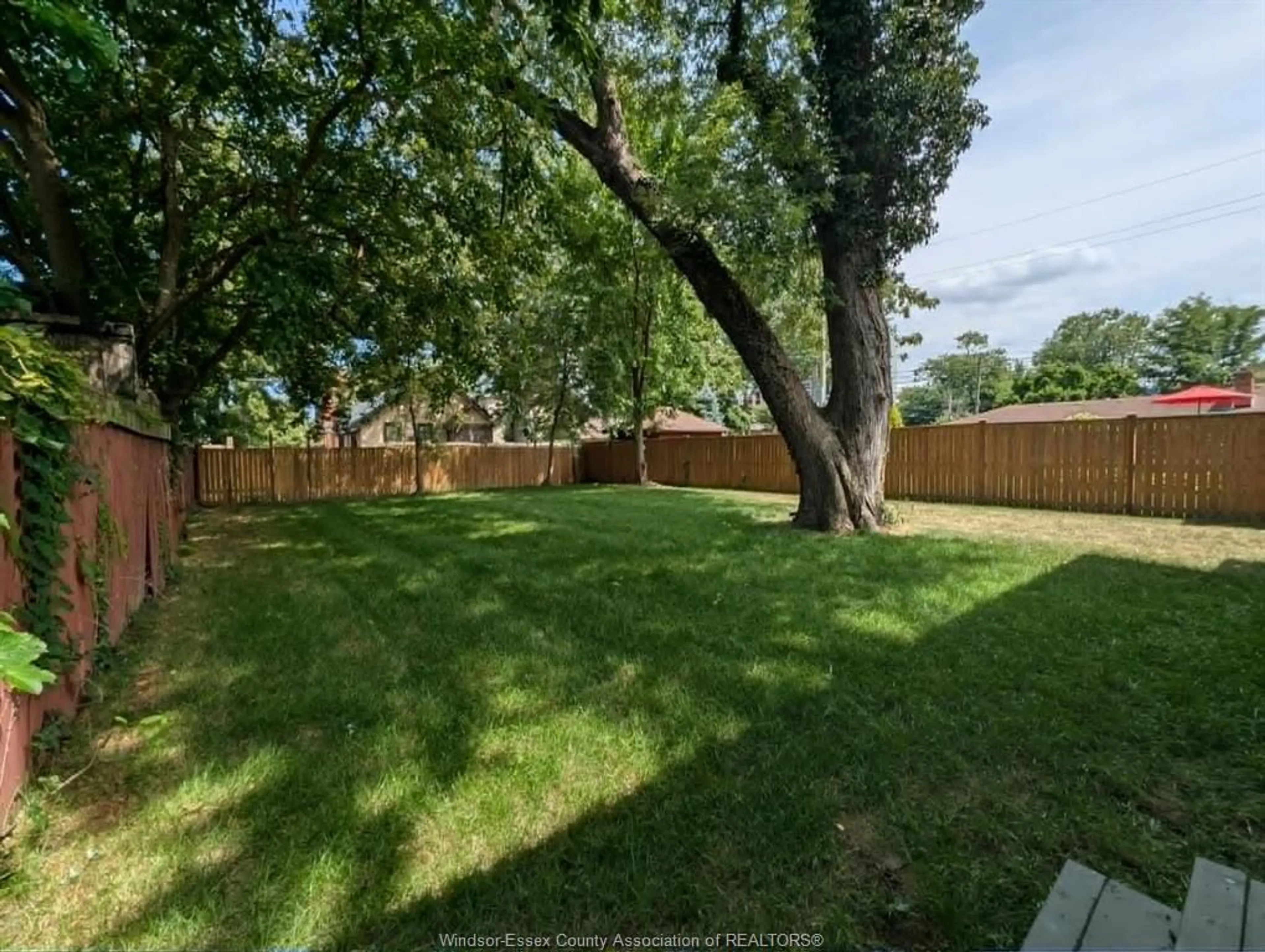 A pic from outside/outdoor area/front of a property/back of a property/a pic from drone, forest/trees view for 1484 VICTORIA Ave, Windsor Ontario N8X 1P3