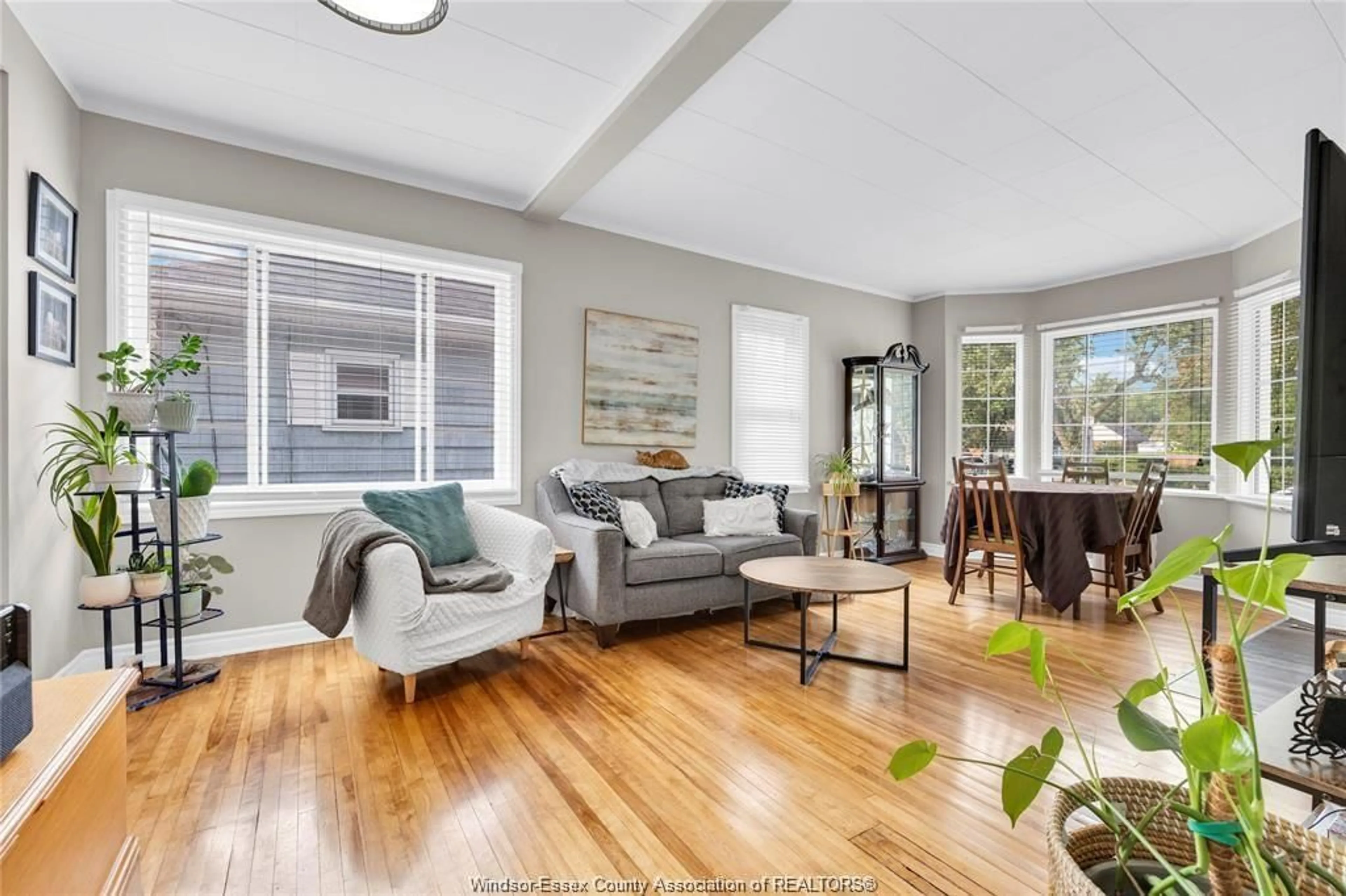 Living room with furniture, wood/laminate floor for 911 JEFFERSON Blvd, Windsor Ontario N8N 4B2