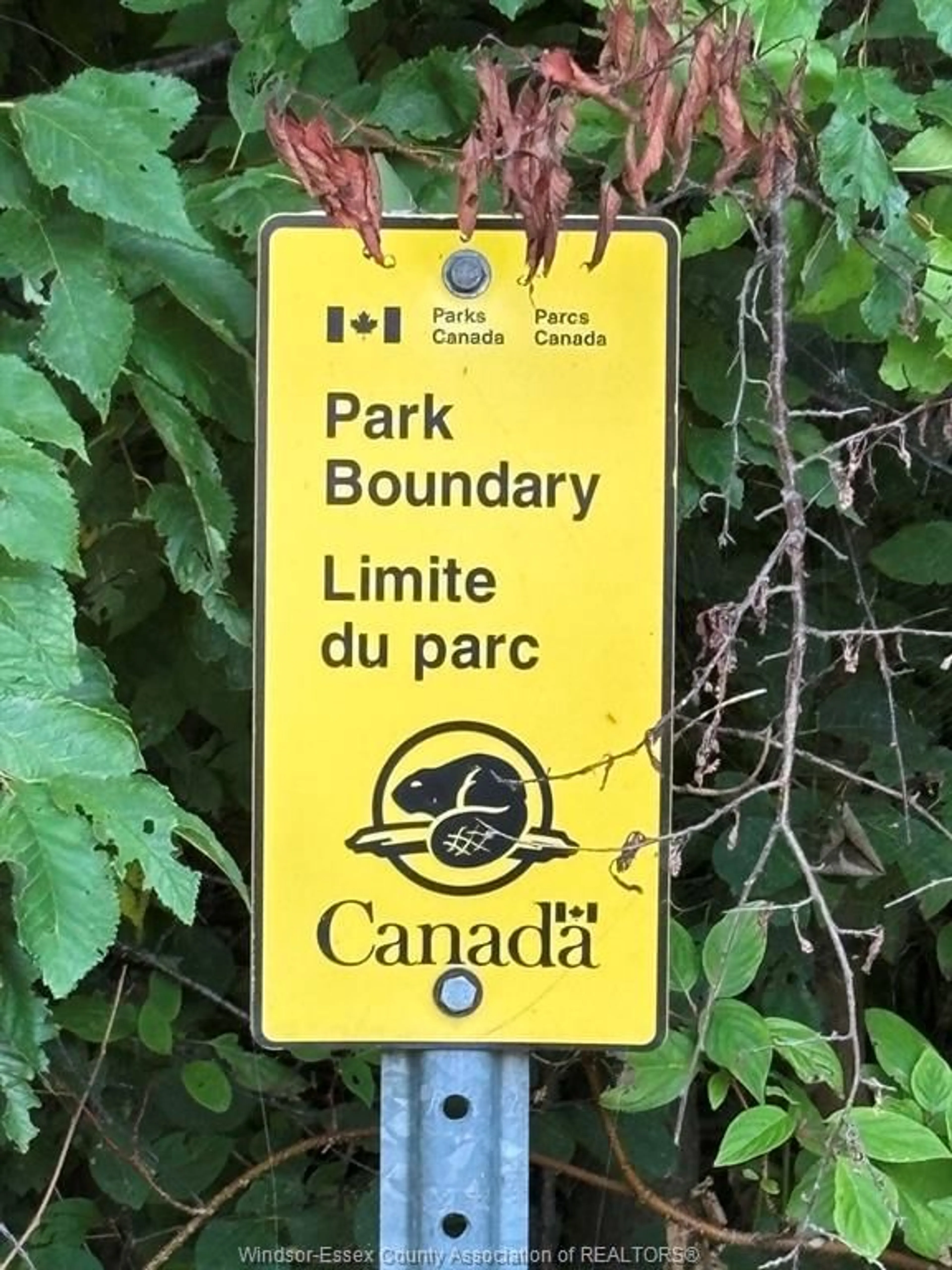 Parking for 345B Robson Rd, Leamington Ontario N8H 5G6
