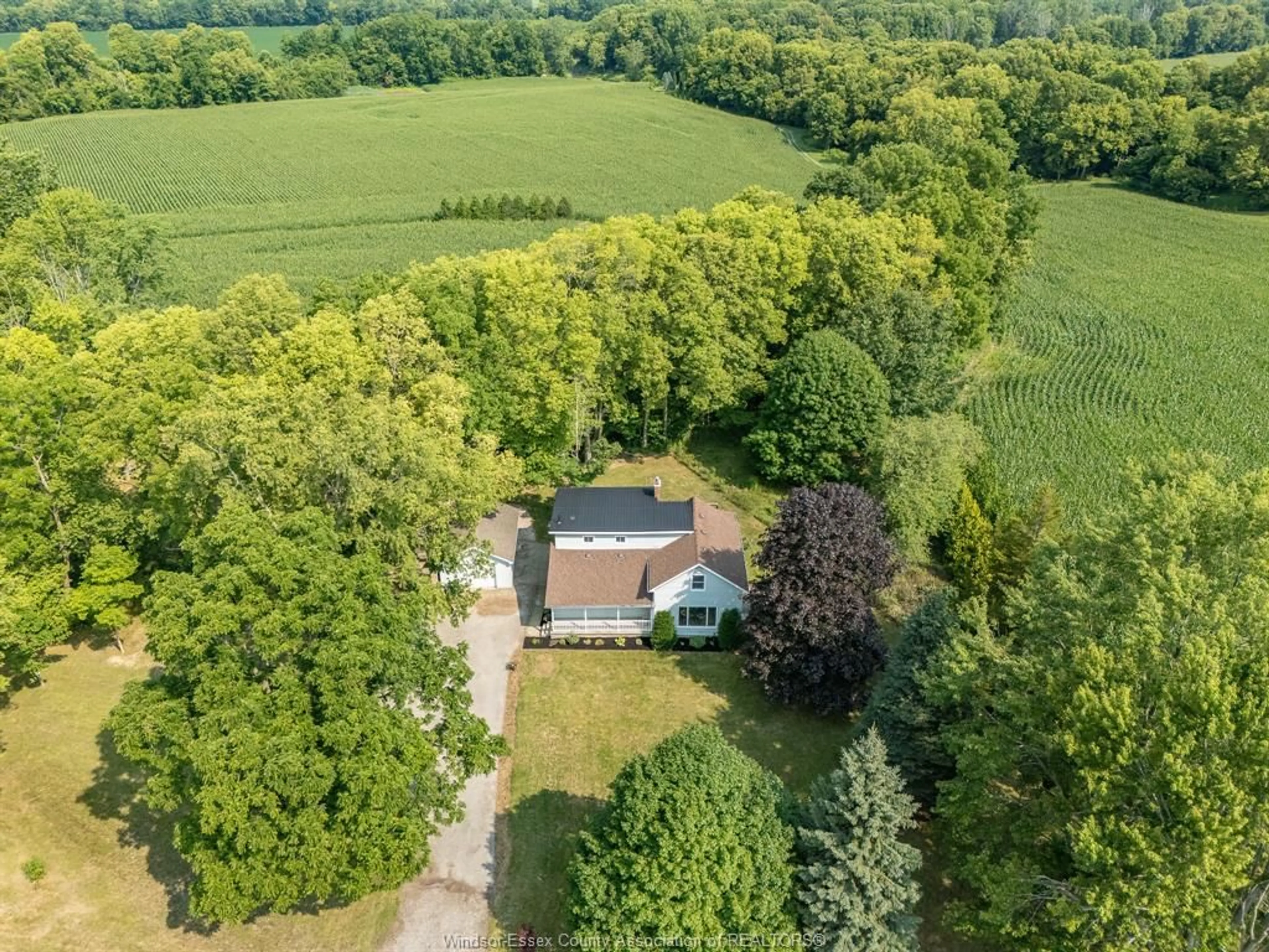 A pic from outside/outdoor area/front of a property/back of a property/a pic from drone, forest/trees view for 11787 River Line, Thamesville Ontario N0P 1V0