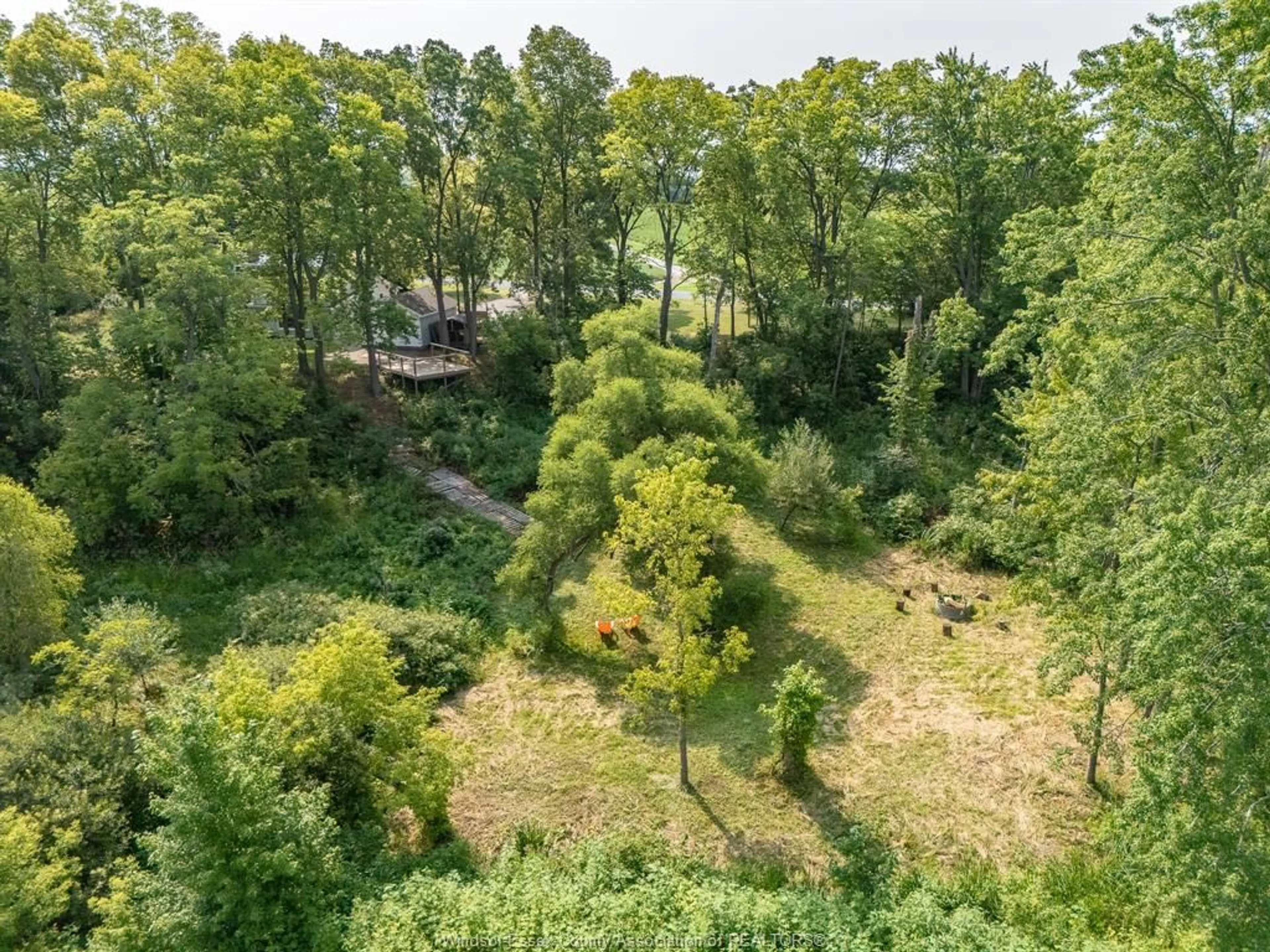 A pic from outside/outdoor area/front of a property/back of a property/a pic from drone, forest/trees view for 11787 River Line, Thamesville Ontario N0P 1V0