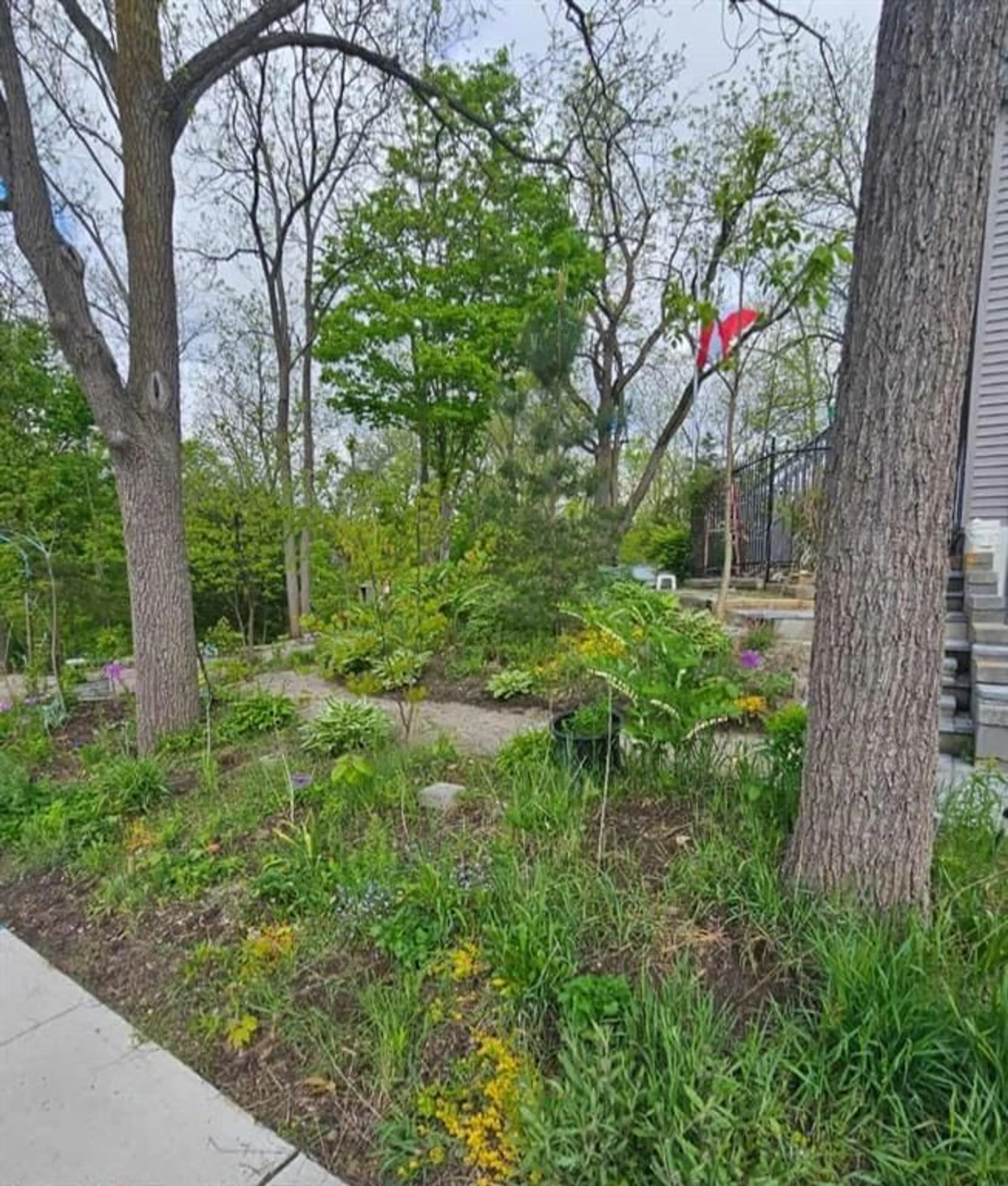Patio, forest/trees view for 1856/1860 LONMGWOODS Rd, Wardsville Ontario N0L 2N0