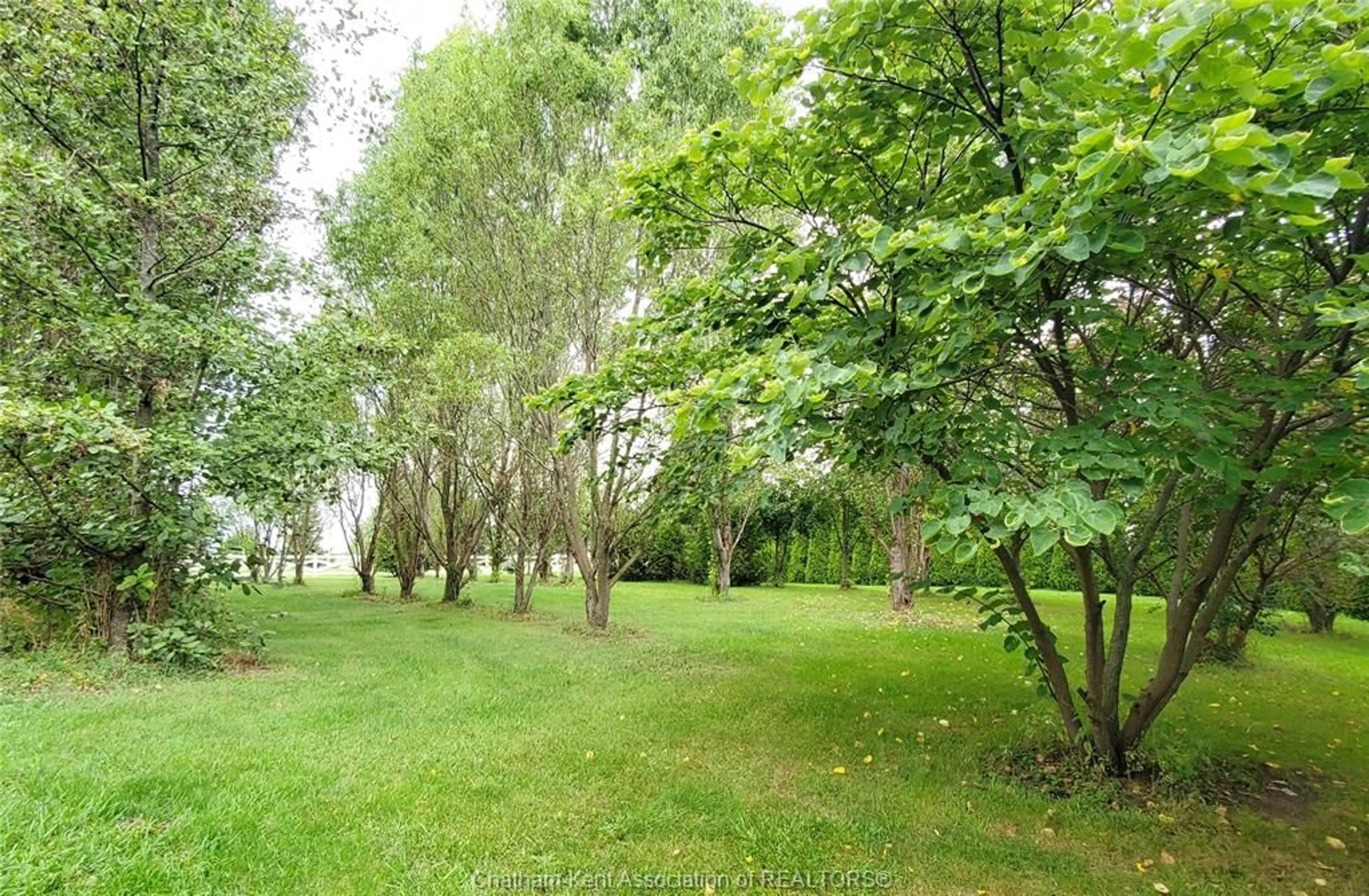 A pic from outside/outdoor area/front of a property/back of a property/a pic from drone, forest/trees view for VL Talbot Trail, Cedar Springs Ontario N0P 1E0