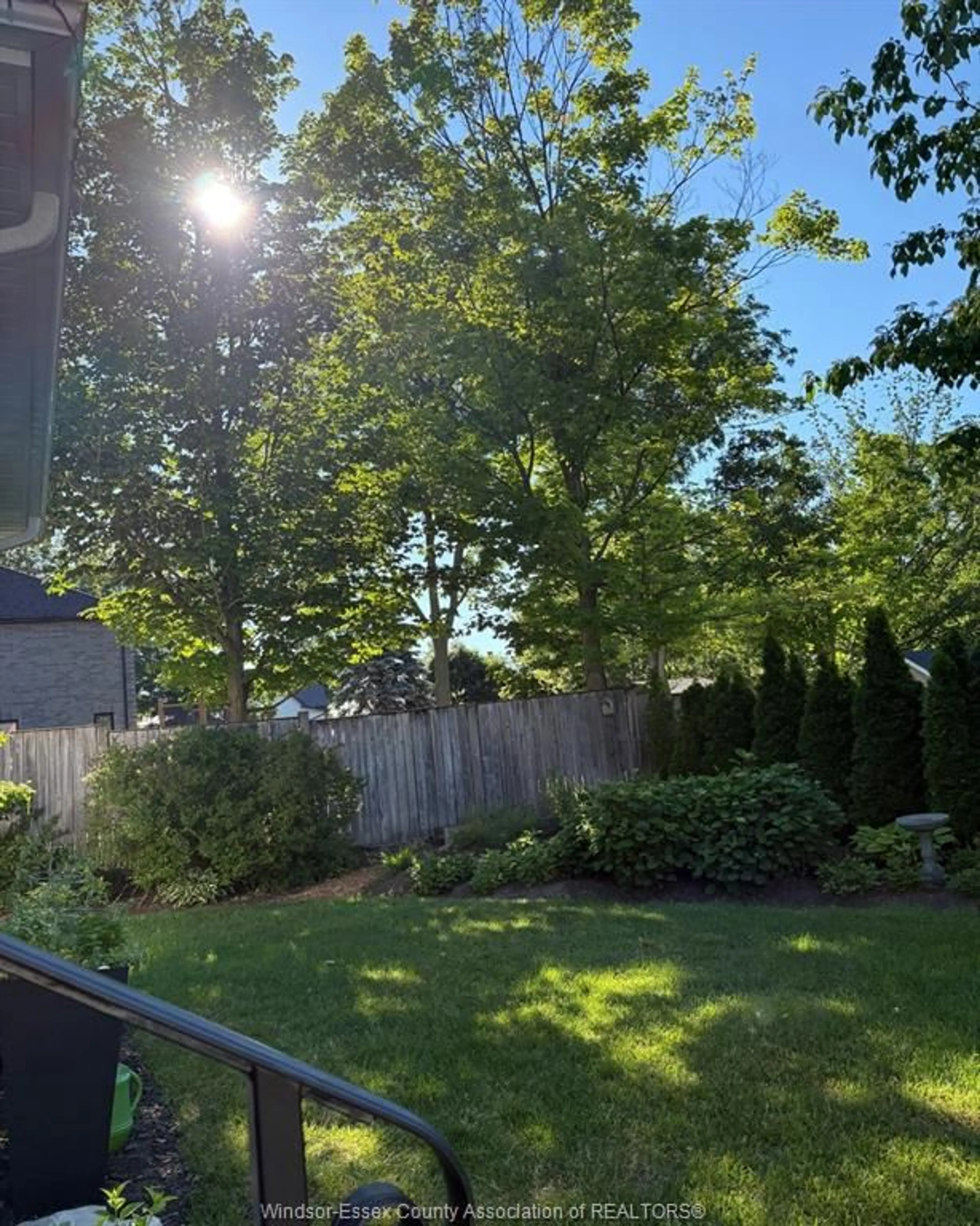 A pic from outside/outdoor area/front of a property/back of a property/a pic from drone, forest/trees view for 83 NELSON St, New Tecumseth Ontario N9R 1H1