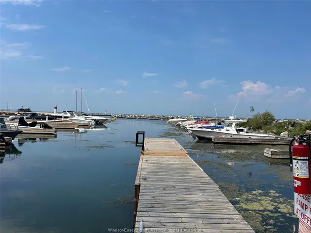 131 HARRIS GARNO, Pelee Island 4