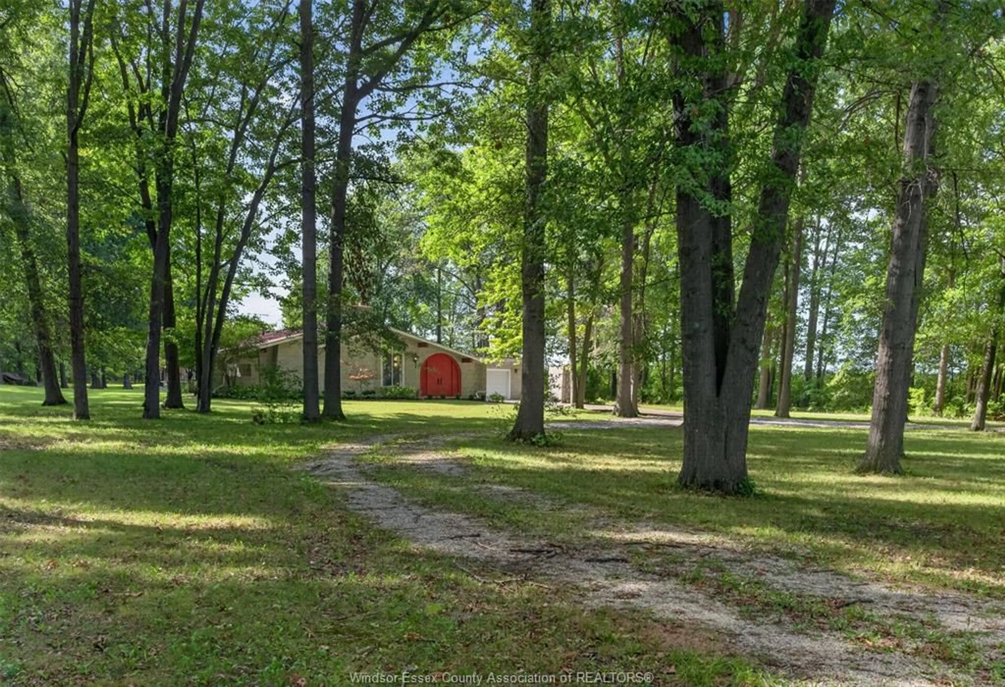 A pic from outside/outdoor area/front of a property/back of a property/a pic from drone, forest/trees view for 8030 COUNTY RD 15, Essex Ontario N8M 2X6