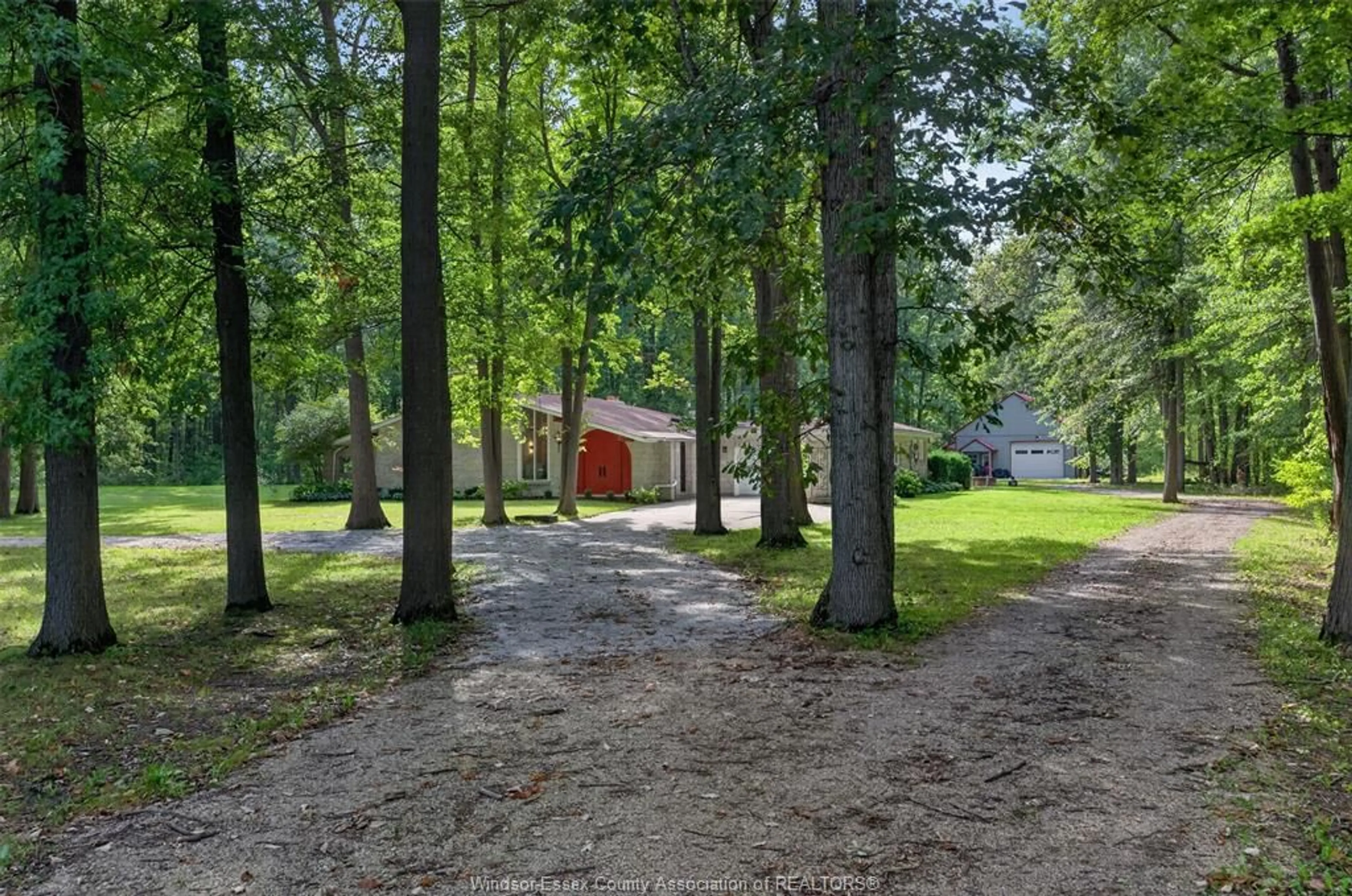 A pic from outside/outdoor area/front of a property/back of a property/a pic from drone, forest/trees view for 8030 COUNTY RD 15, Essex Ontario N8M 2X6