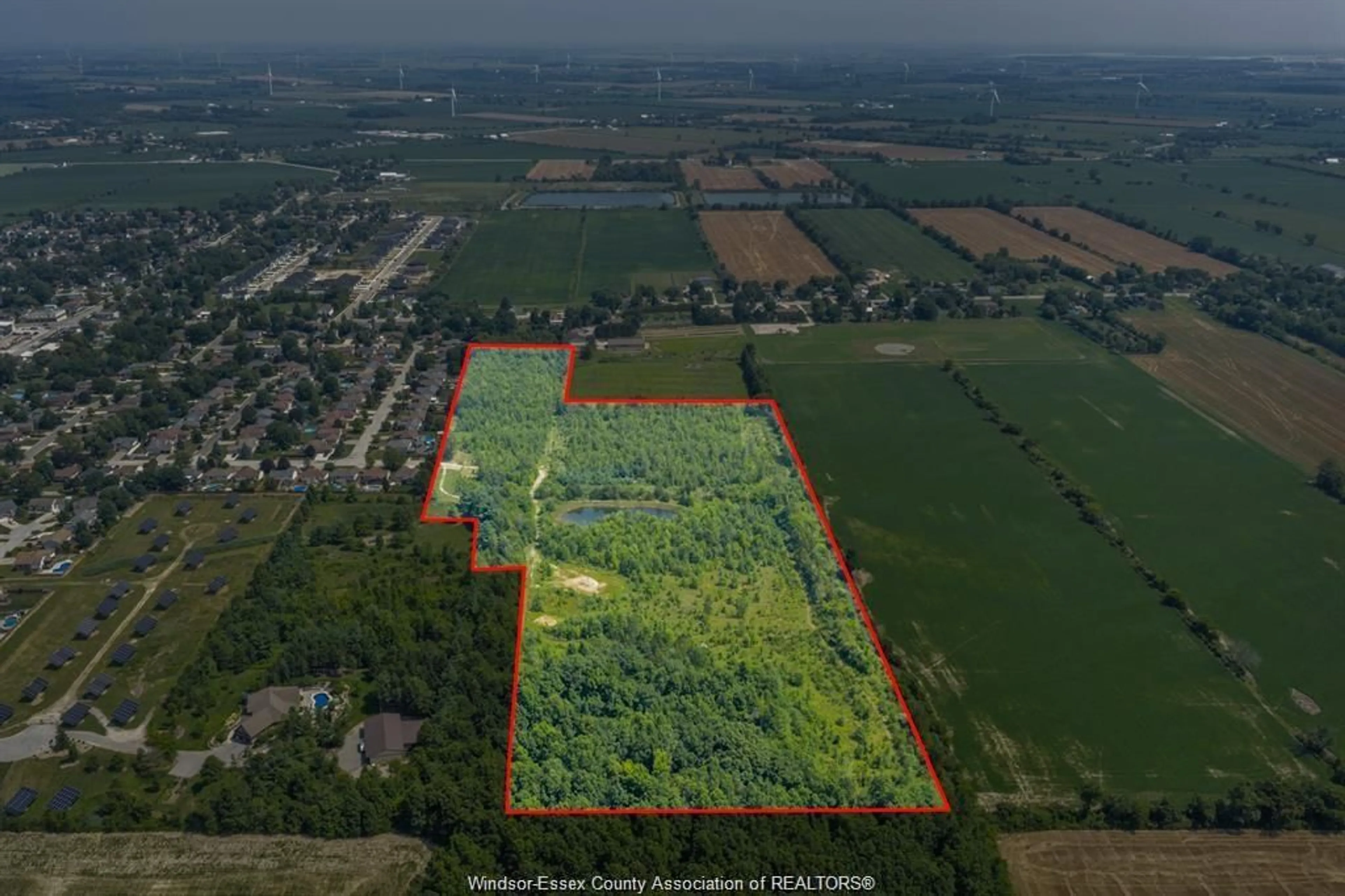 A pic from outside/outdoor area/front of a property/back of a property/a pic from drone, forest/trees view for 39 WILLIAM St, Kingsville Ontario N0R 1B0