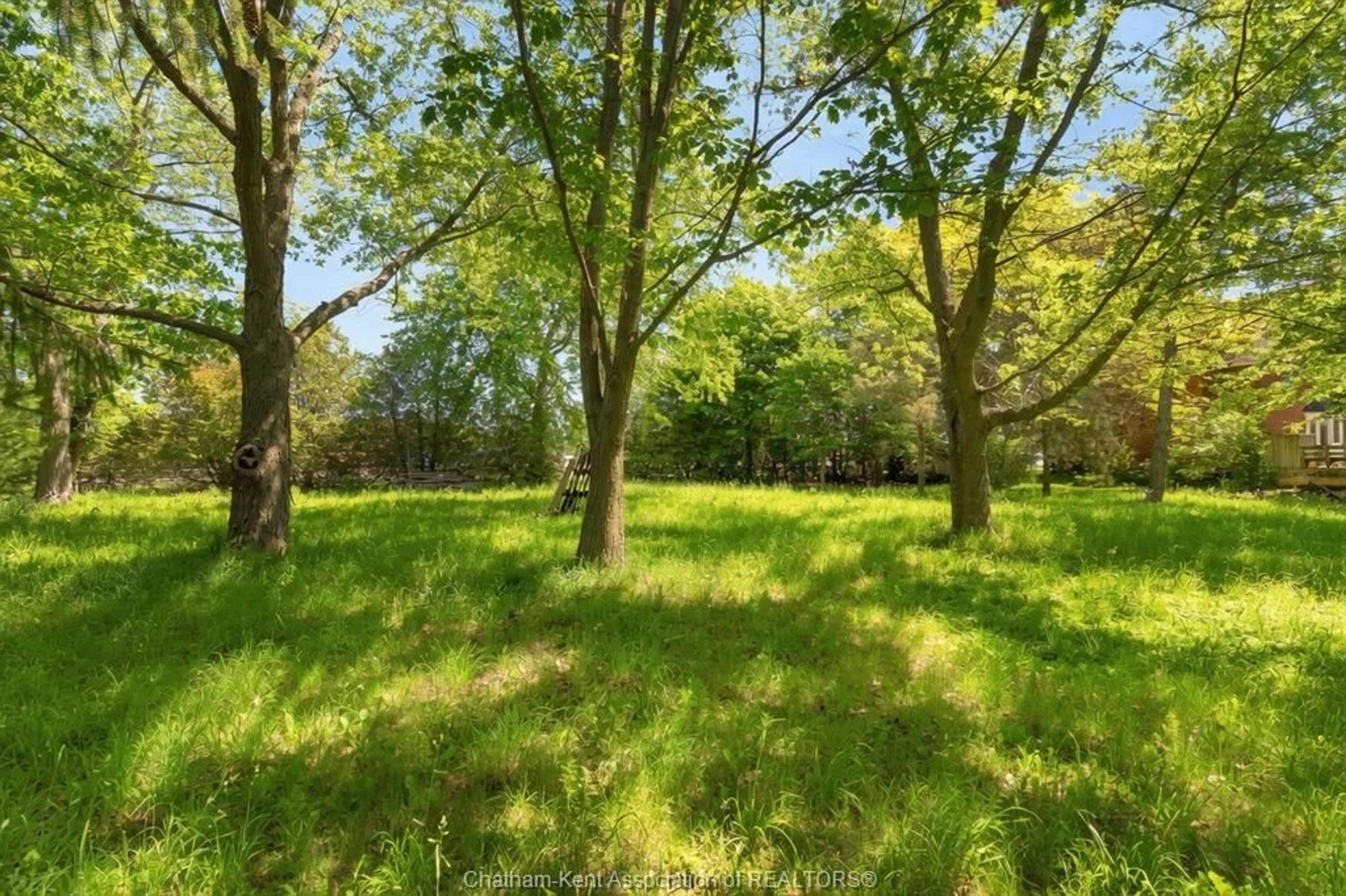 A pic from outside/outdoor area/front of a property/back of a property/a pic from drone, forest/trees view for 106 Erie St, Ridgetown Ontario N0P 2C0