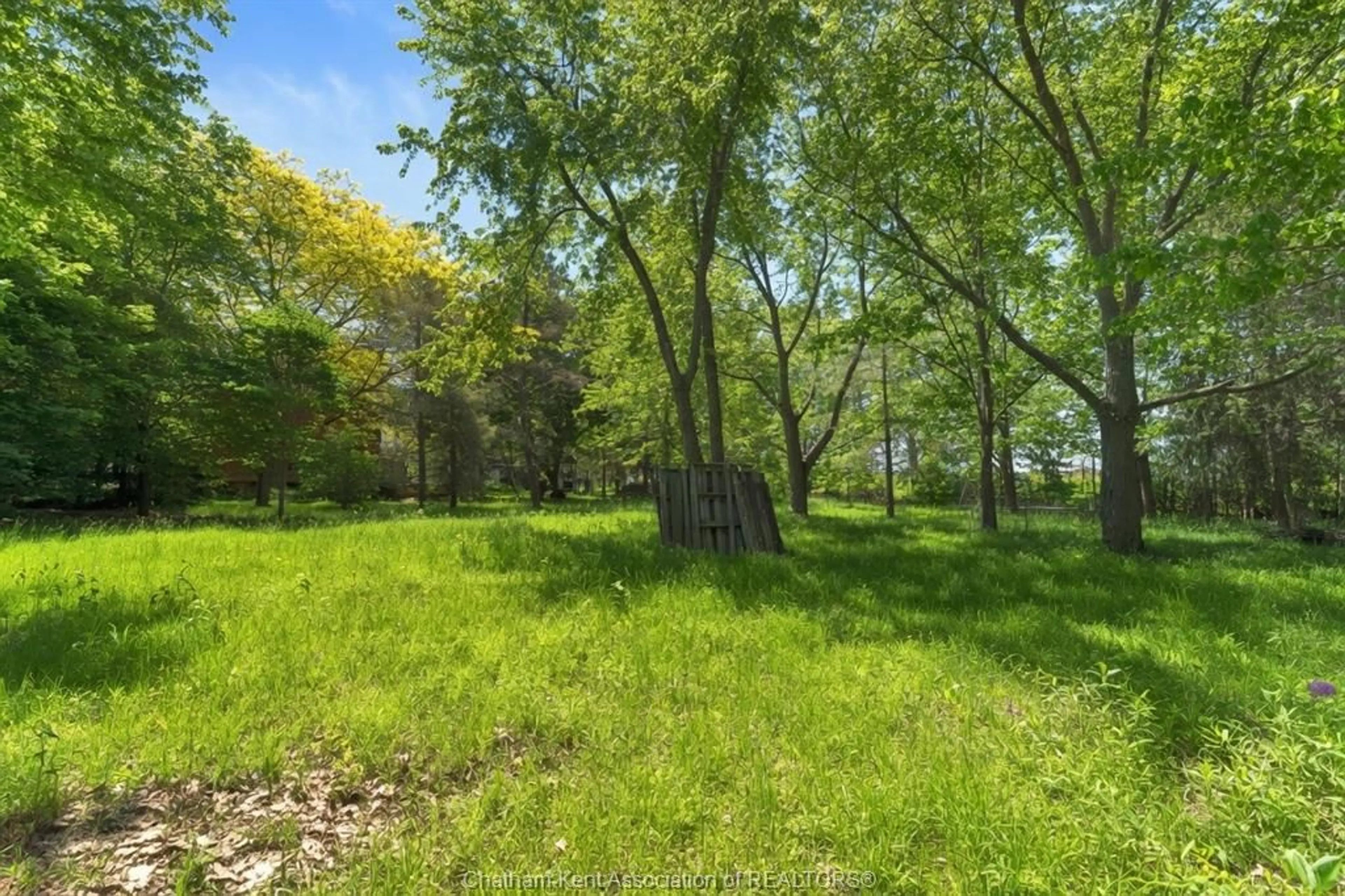 A pic from outside/outdoor area/front of a property/back of a property/a pic from drone, forest/trees view for 106 Erie St, Ridgetown Ontario N0P 2C0