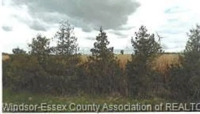 V/L EAST RUSCOM RIVER #SOUTHERN, Lakeshore 4