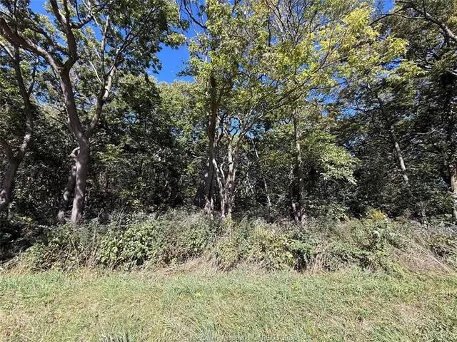 537 South Shore, Pelee Island 4