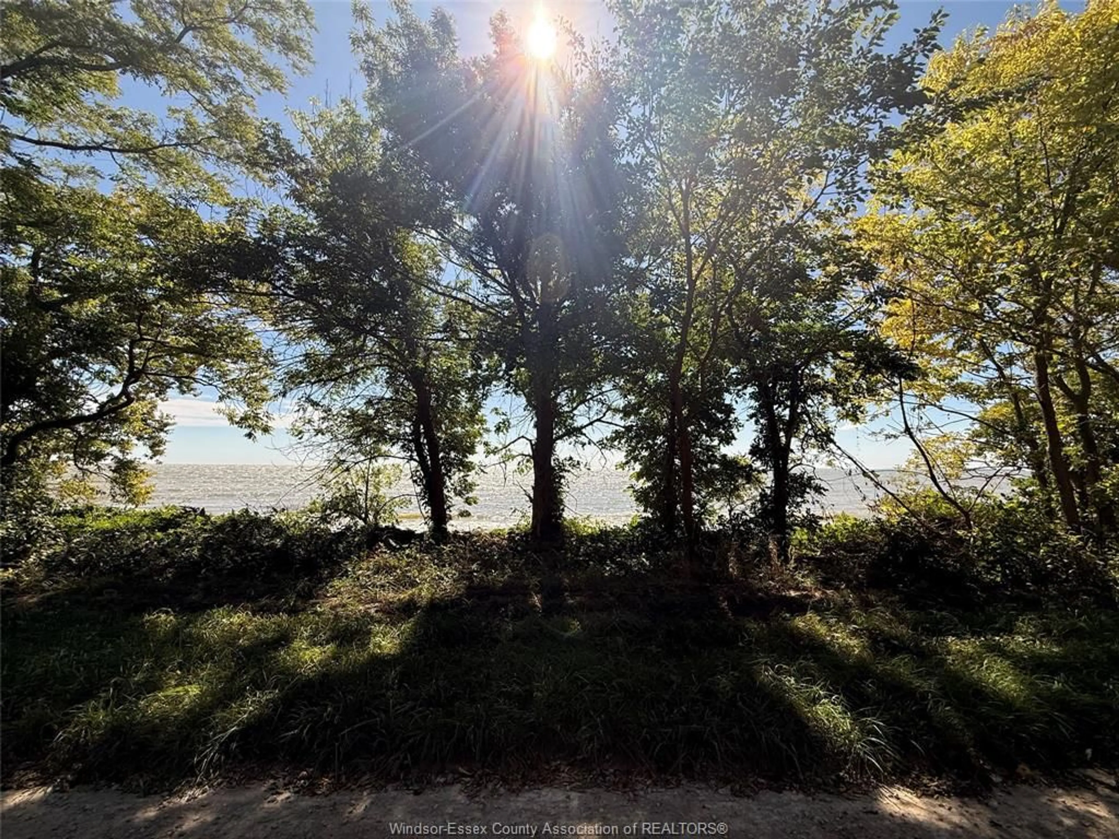 A pic from outside/outdoor area/front of a property/back of a property/a pic from drone, forest/trees view for 537 South Shore, Pelee Island Ontario N0R 1M0