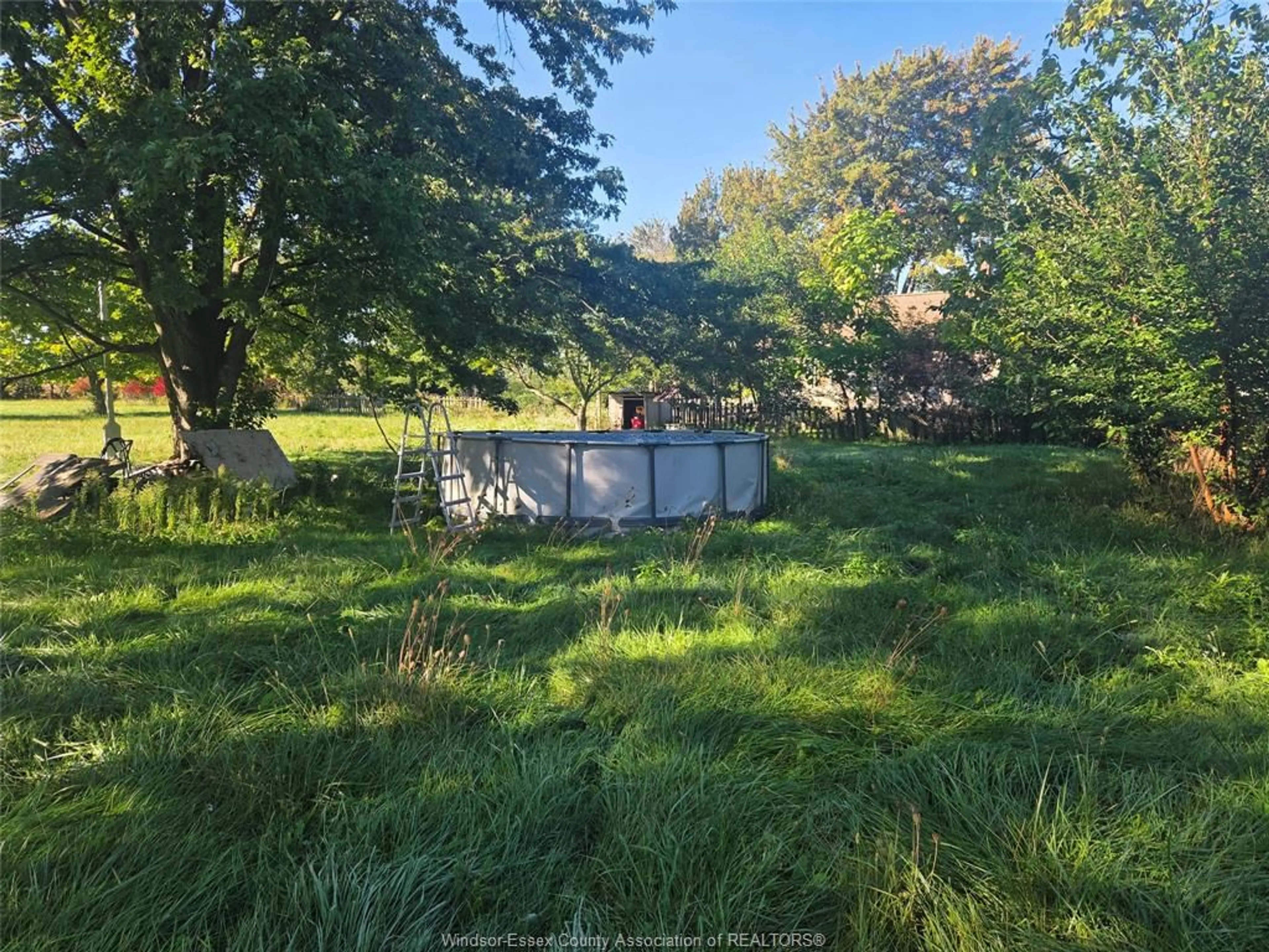 A pic from outside/outdoor area/front of a property/back of a property/a pic from drone, forest/trees view for 618 Mersea Road 8, Leamington Ontario N8H 3V8