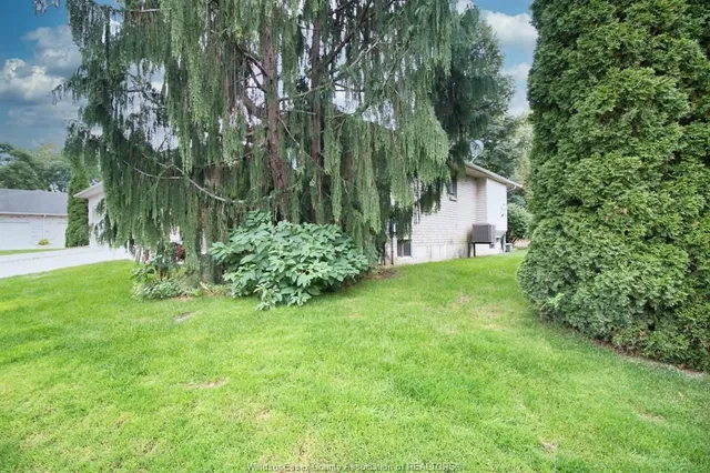 2 THOMAS Cres, Chatham 3