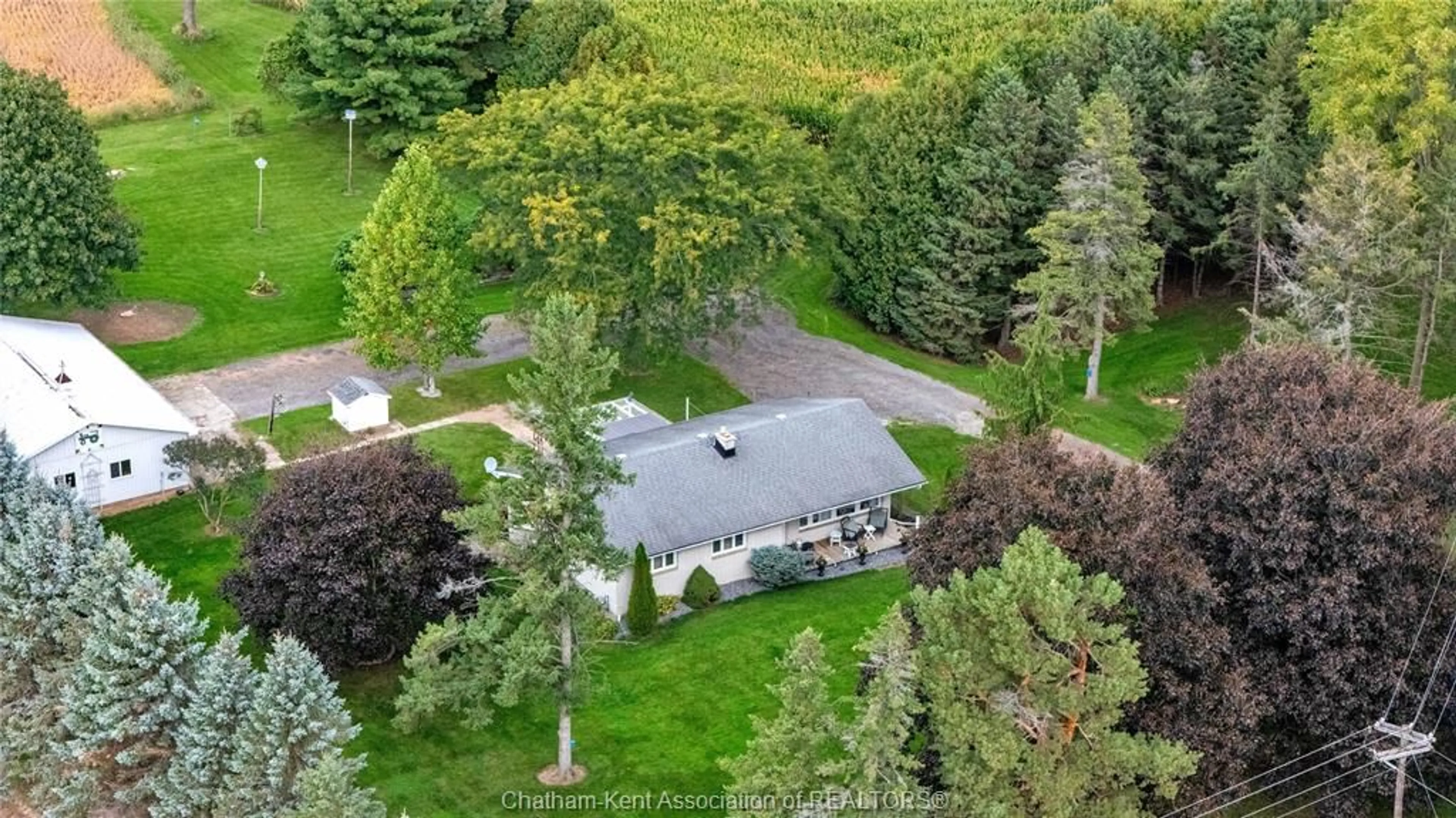 A pic from outside/outdoor area/front of a property/back of a property/a pic from drone, forest/trees view for 10489 Talbot Trail, Blenheim Ontario N0P 1A0