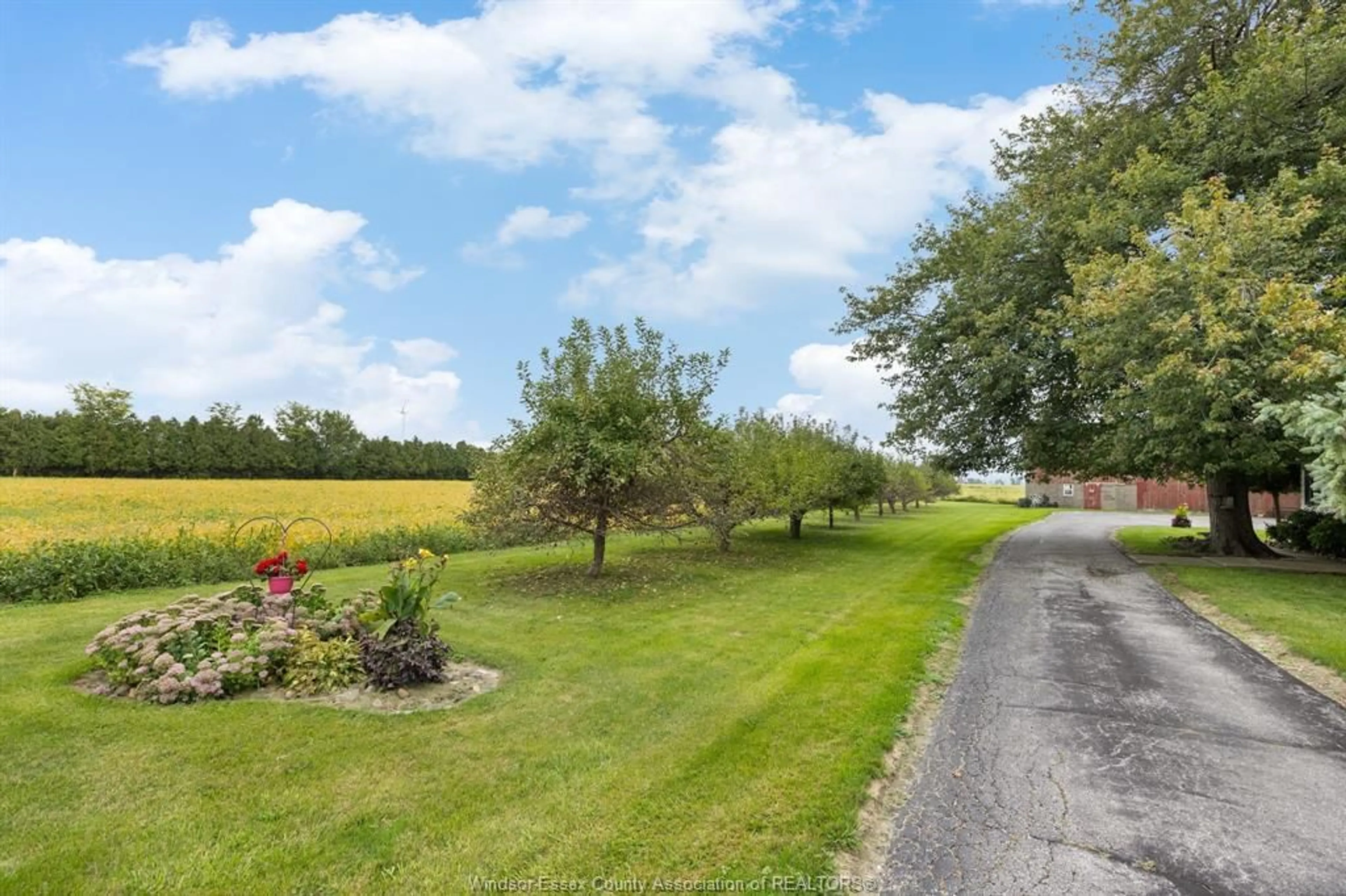 A pic from outside/outdoor area/front of a property/back of a property/a pic from drone, water/lake/river/ocean view for 2151 COUNTY RD 20, Harrow Ontario N0R 1G0