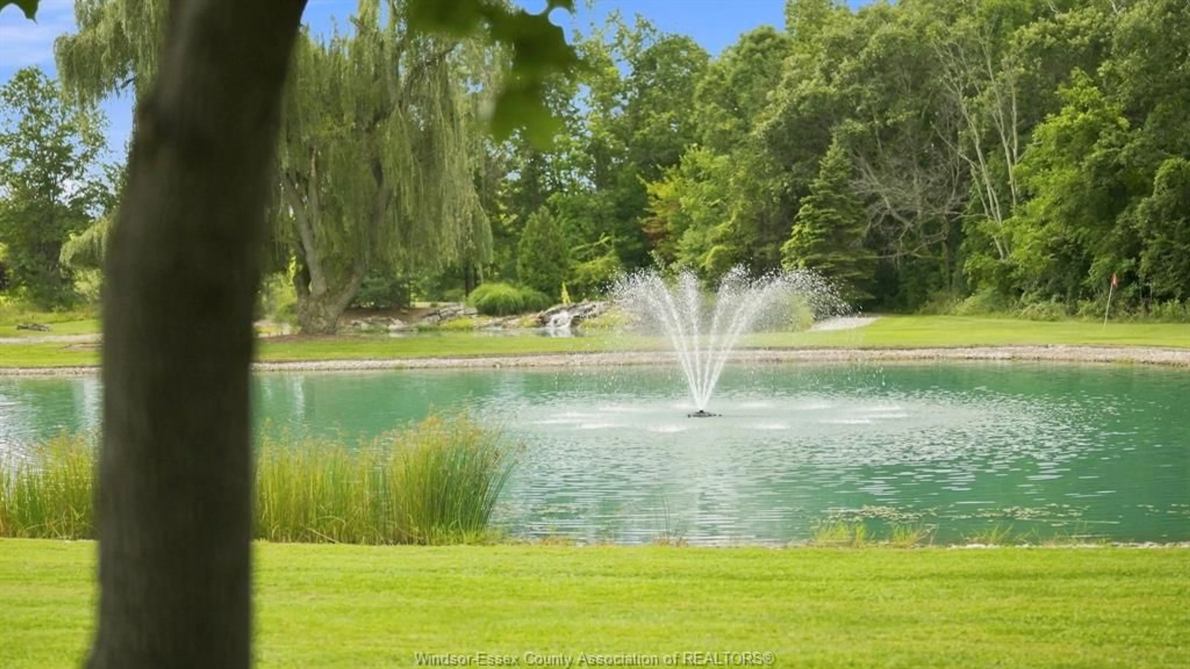 Pool for 4897 4TH CONCESSION Rd, Harrow Ontario N0R 1G0