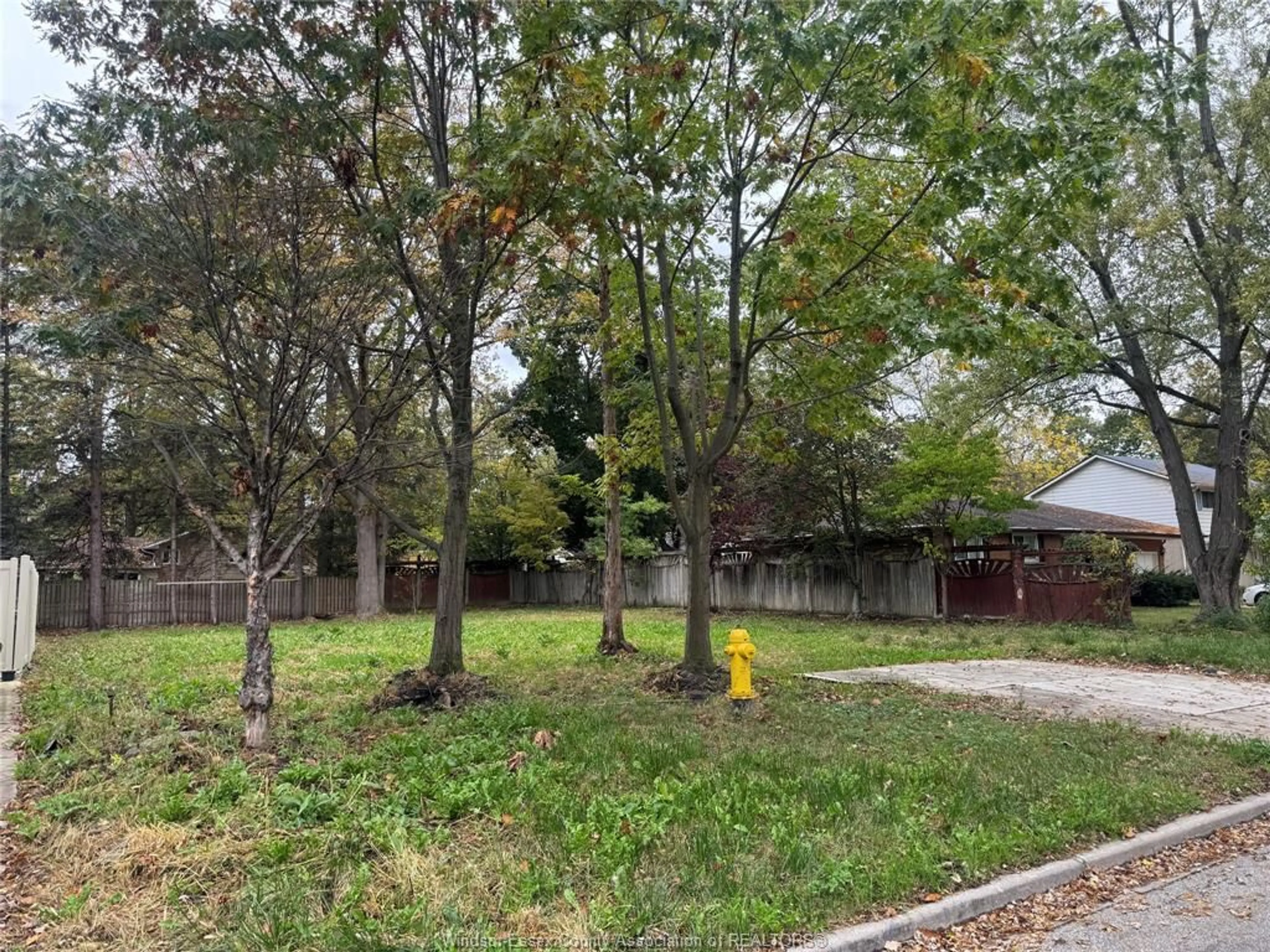 A pic from outside/outdoor area/front of a property/back of a property/a pic from drone, forest/trees view for 3365 RANKIN, Windsor Ontario N9E 3C2