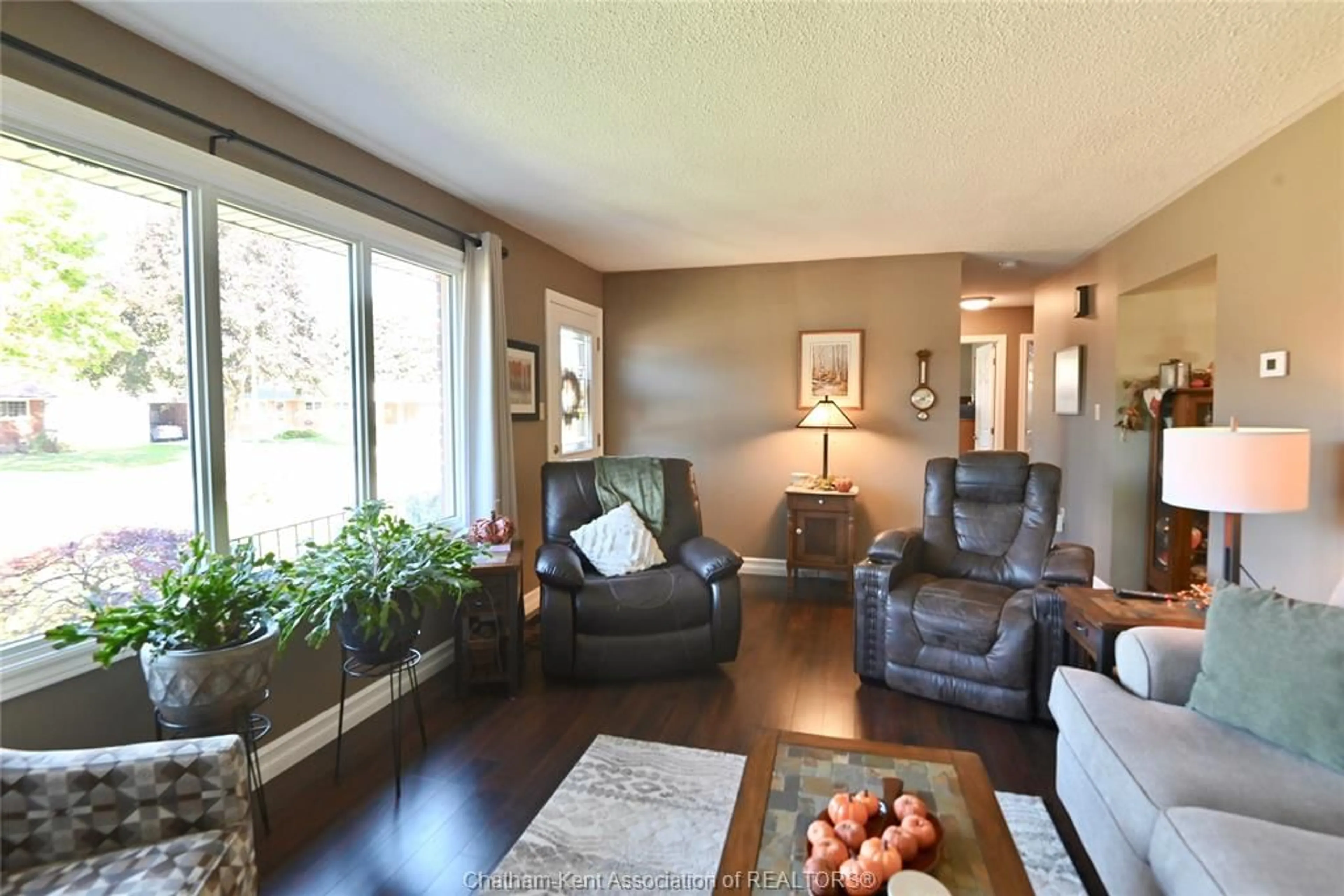 Living room with furniture, wood/laminate floor for 15 HILLSDALE Ave, Ridgetown Ontario N0P 2C0